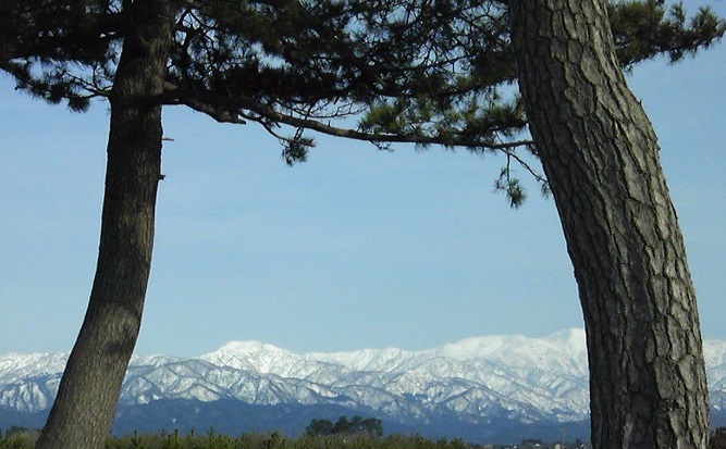 e0108765_17431014.jpg