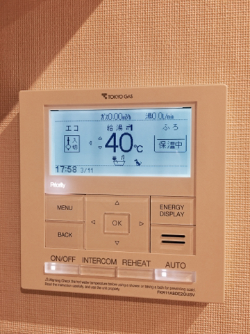 c0102268_20401070.jpg