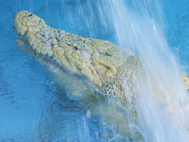 c0105569_01364459.jpg