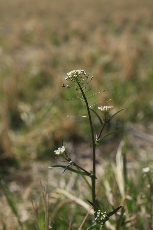 e0304170_19010985.jpg