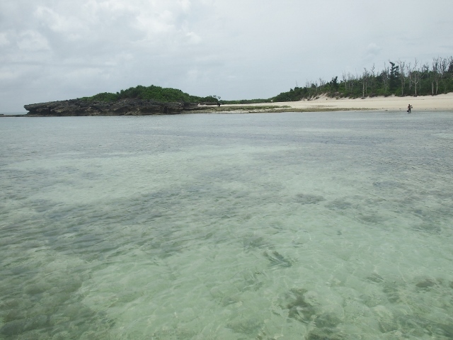 f0200373_22475139.jpg