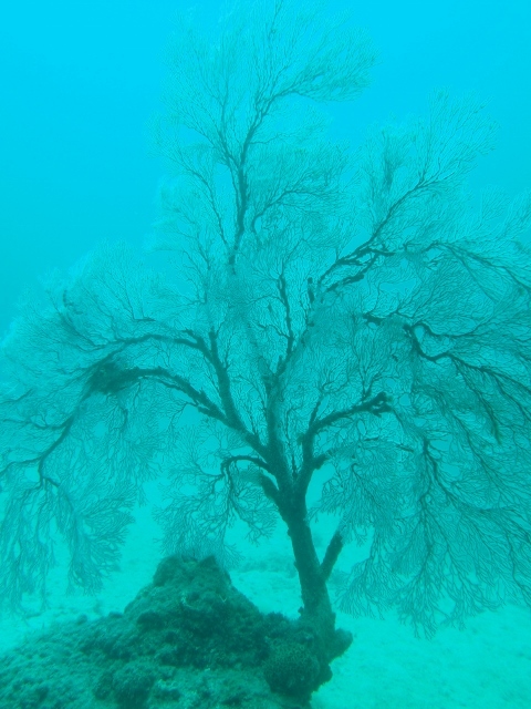 f0200373_22500549.jpg