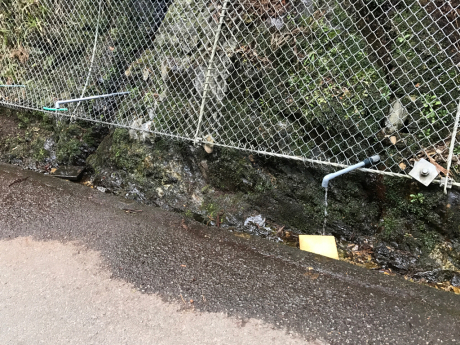 c0206177_17412794.jpg
