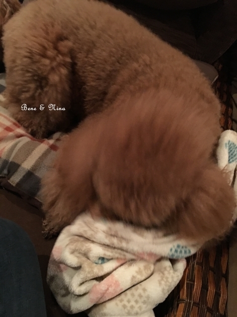 c0283778_13573520.jpg