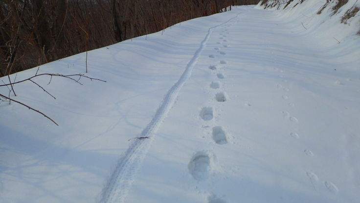 a0242984_08103646.jpg