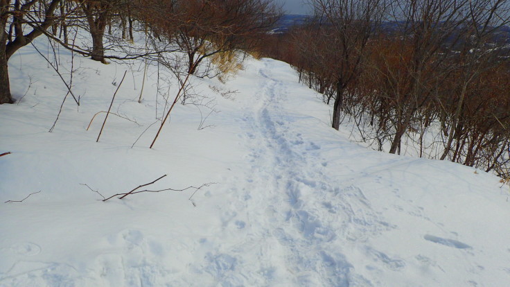 a0242984_08333673.jpg