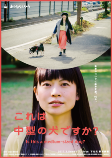 b0161785_10474526.png