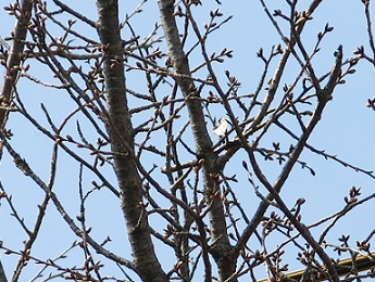 e0130185_203762.jpg
