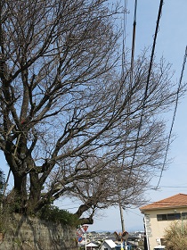e0130185_20431793.jpg