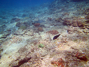 f0144385_21432155.jpg