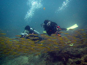 f0144385_21460817.jpg