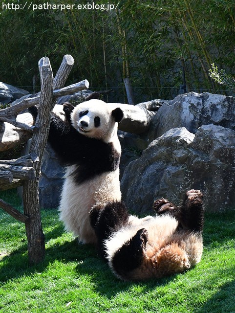 a0052986_7505221.jpg