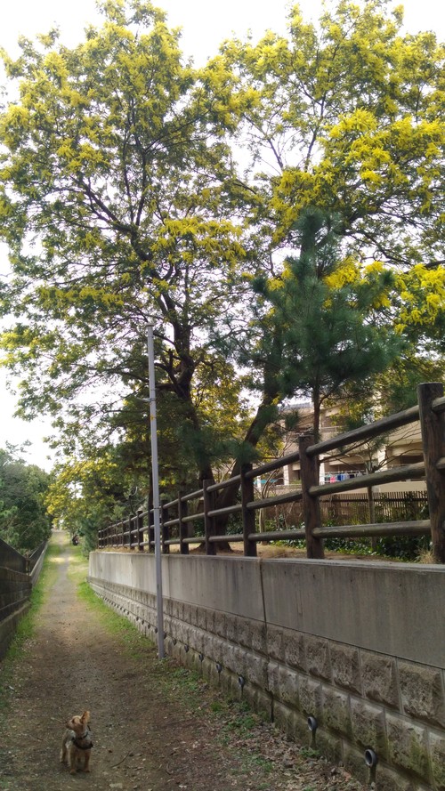 e0123587_21145474.jpg