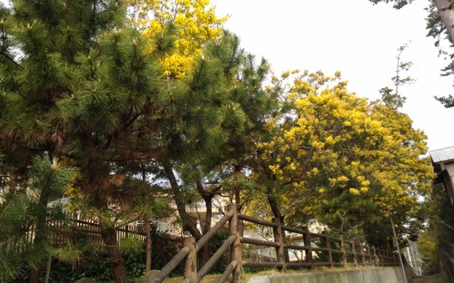 e0123587_211524.jpg