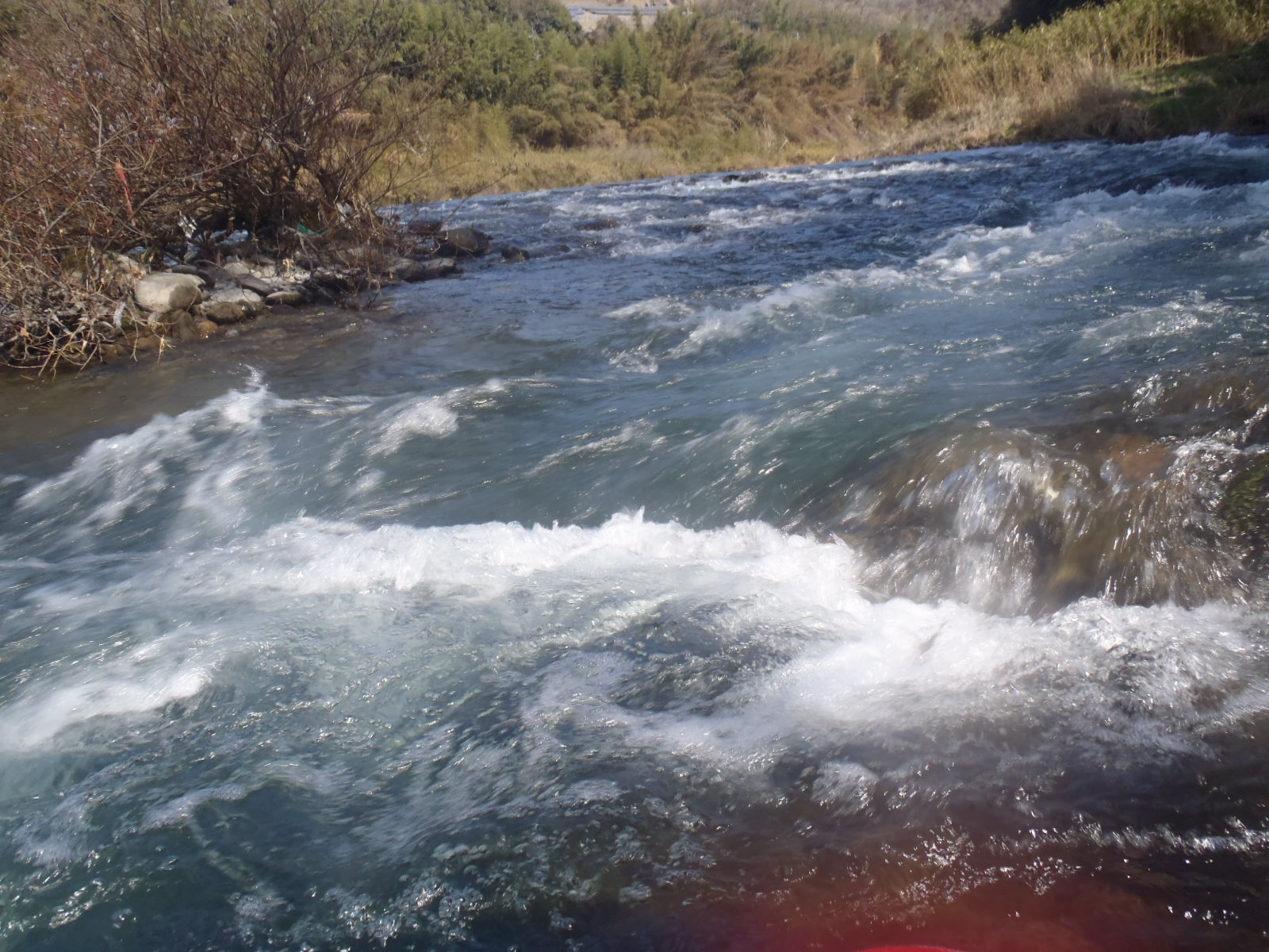 b0139489_19453112.jpg