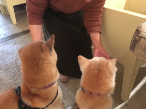 c0123890_20584223.jpeg