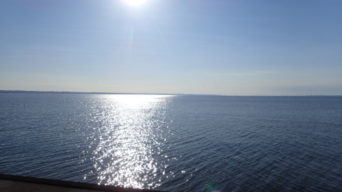 a0338094_20251424.jpg