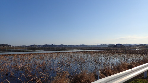 a0338094_20261577.jpg