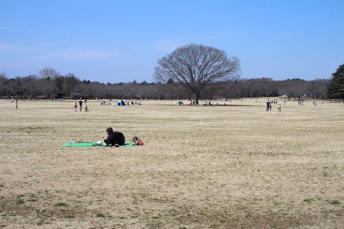 c0090198_20265199.jpg