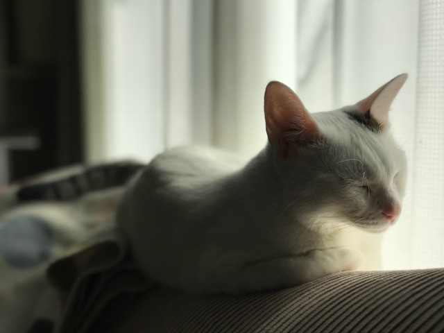 e0359604_14461981.jpeg