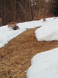 b0200310_10512319.jpg
