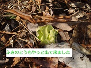 b0200310_1143078.jpg