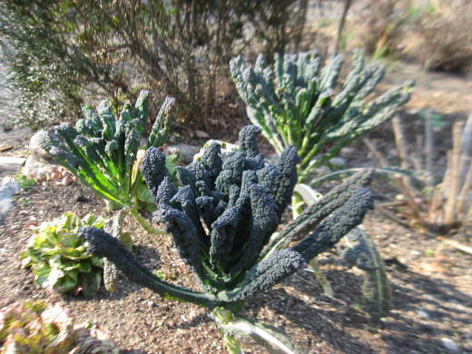c0062511_22544191.jpg