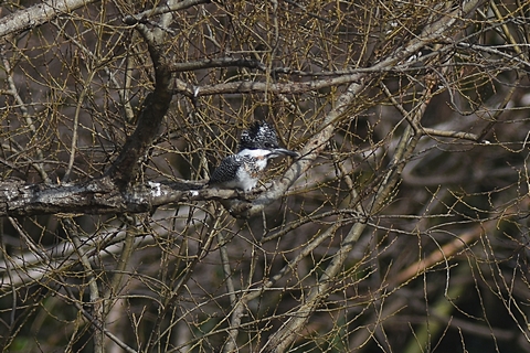f0233011_21134224.jpg