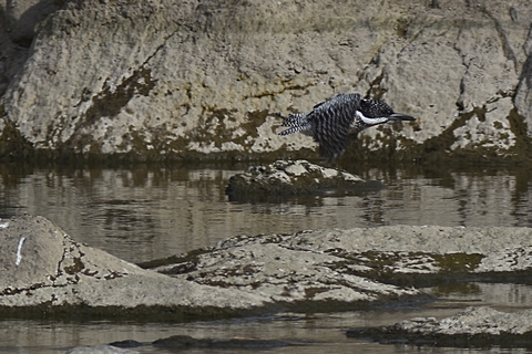 f0233011_21135457.jpg