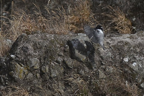 f0233011_21135950.jpg