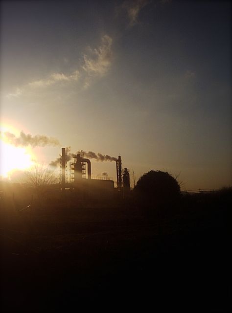 e0231514_1418922.jpg