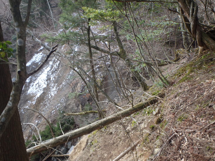 f0193521_456836.jpg