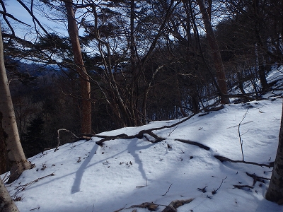 f0193521_521930.jpg