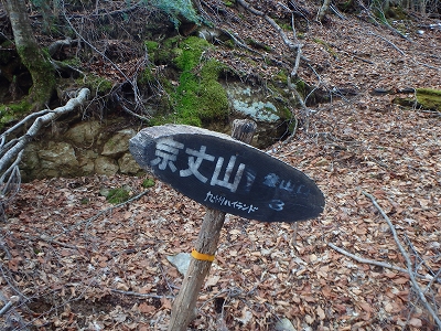 f0193521_543968.jpg