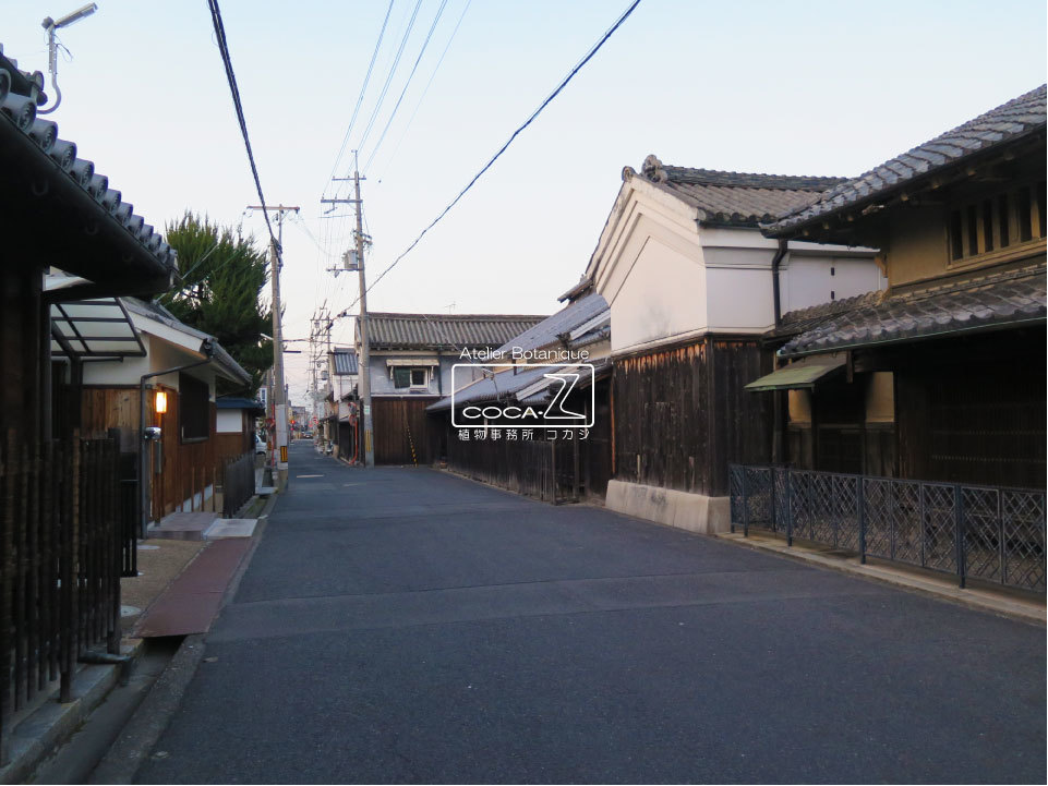 b0160123_00173415.jpg