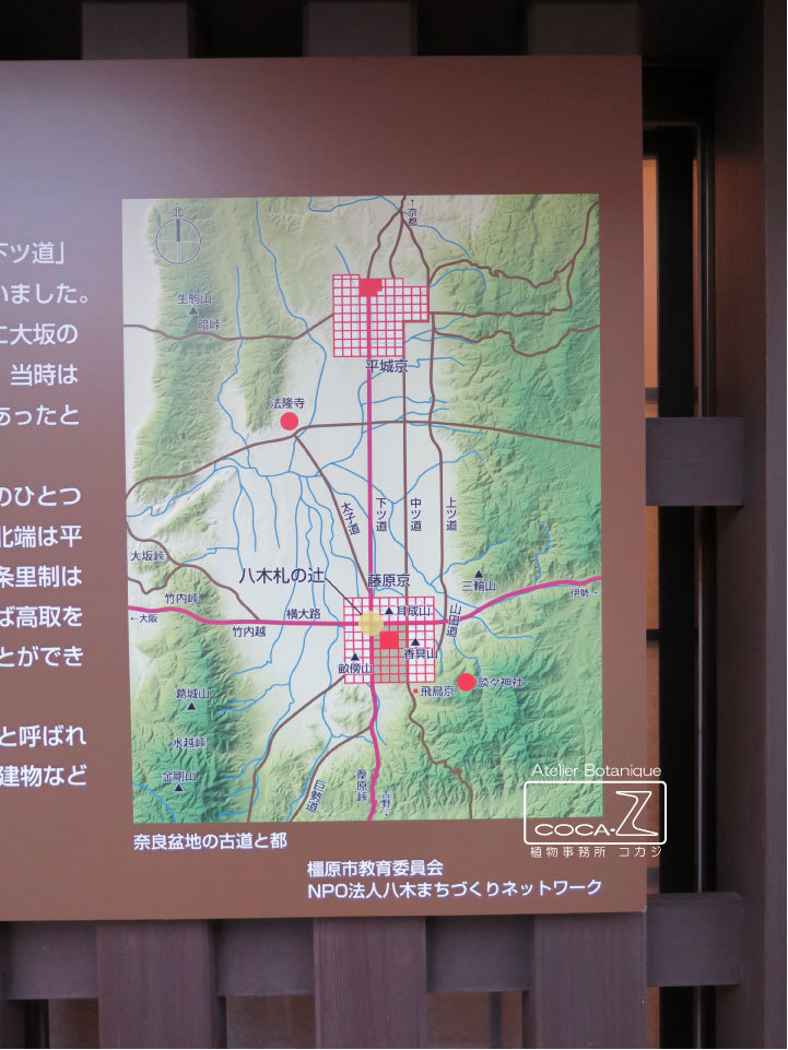 b0160123_00173484.jpg