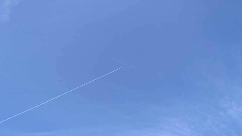 b0020828_21231416.jpg
