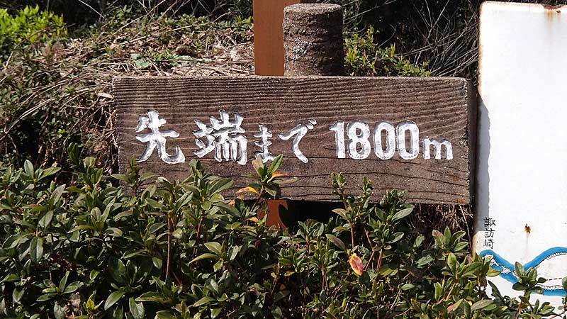 b0020828_21374550.jpg