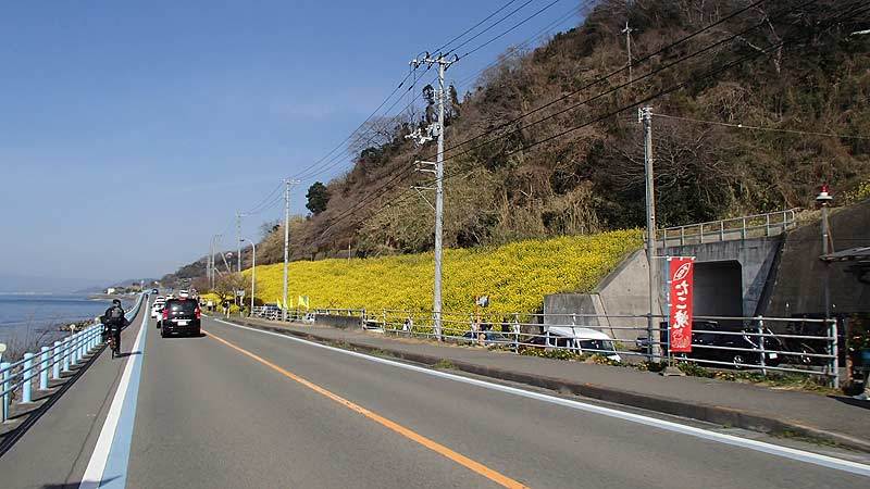 b0020828_21513242.jpg