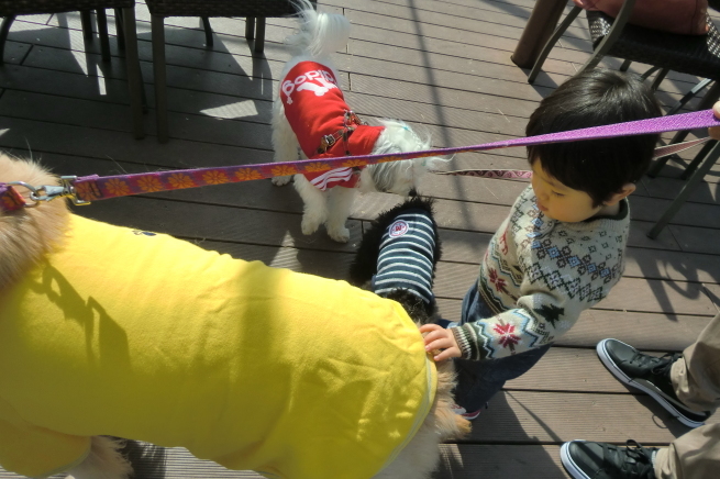 c0236632_08313795.jpg