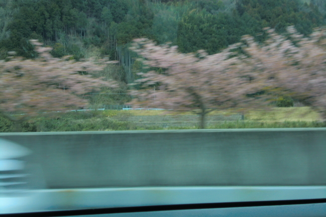 c0236632_08520580.jpg