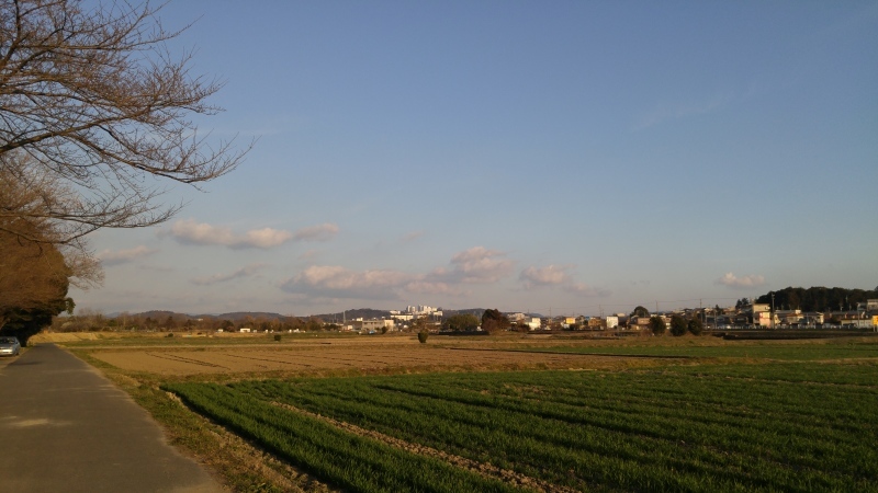 f0361132_23071852.jpg