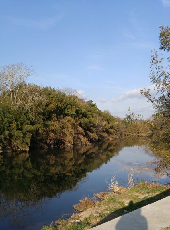 f0361132_23081529.jpg