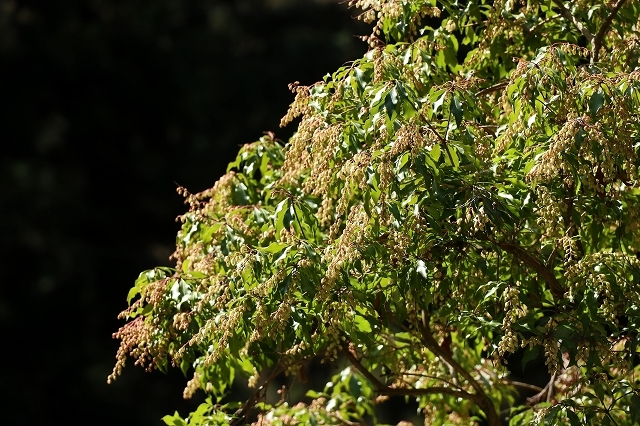 a0242438_19023441.jpg