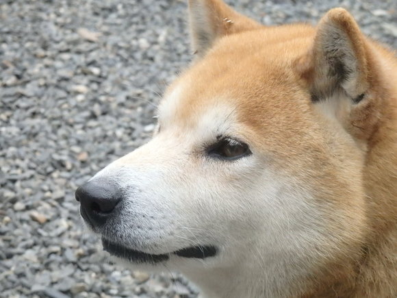 a0054240_2143760.jpg