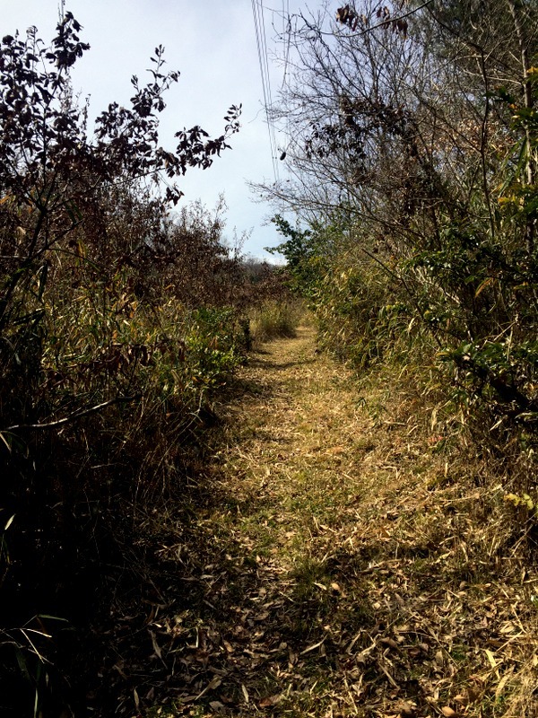 b0057140_00290254.jpg