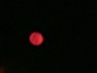 b0080342_22215685.jpg