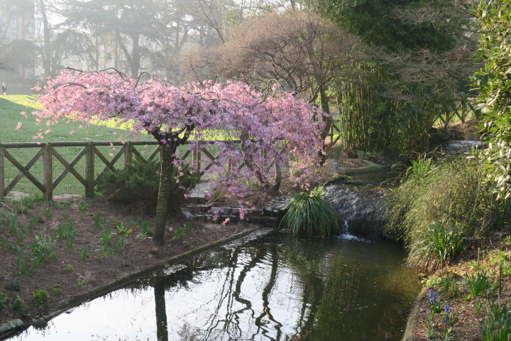 e0300042_22481010.jpg