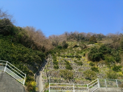 f0347942_06025942.jpg