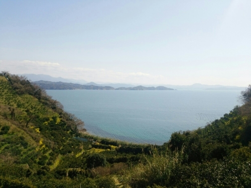 f0347942_06030542.jpg